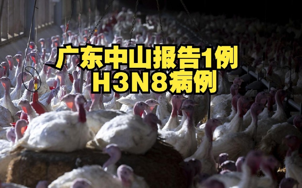 广东省公布1例H3N8病例，已开展涉疫场所查杀